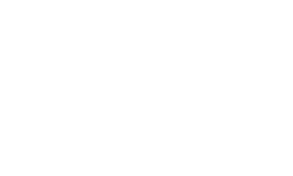 Double Holo